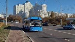 Жители Белгородской агломерации совершили около 29 млн поездок на общественном транспорте 