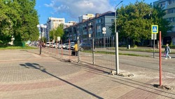 Движение по центральной аллее парка им. Ленина в Белгороде временно перекроют с 3 мая