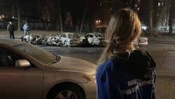 Молодогвардейцы НИУ «БелГУ» получили награды за помощь в устранении последствий обстрелов Белгорода