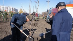 Яковлевские полицейские высадили аллею в городе Строителе