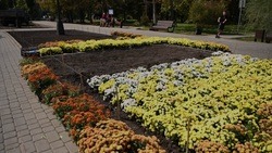 Озеленители приступили к созданию самого масштабного «Белого сада» в Белгороде в парке Победы