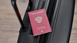 Белгородцы смогут проверить подлинность паспорта на Госуслугах