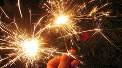 Минтруд РФ предложил с 1 по 10 января установить новогодние каникулы