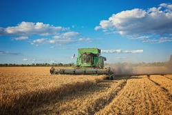 Более 18,4 тысячи белгородцев получают повышенную пенсию за работу в сельском хозяйстве