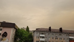Белгородские учёные прокомментировали возникновение жёлтого неба в регионе 
