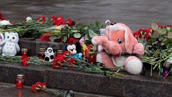 Неравнодушные россияне пожертвовали 17 млн на помощь пострадавшим от обстрела Белгорода 30 декабря