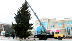 Специалисты установили пятнадцатиметровую ель на центральной площади Яковлевского округа
