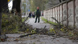 Спасатели предупредили белгородцев о штормовом ветре 7 мая