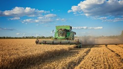 Вячеслав Гладков сообщил о старте перечисления компенсаций 35 белгородским сельхозпроизводителям