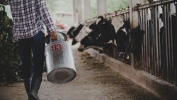 Более 560 тыс. тонн молока произвели в Белгородской области за 9 месяцев 2023 года
