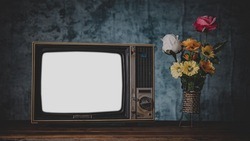 Житель города Строителя украл телевизор у родной бабушки