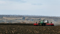 Сев яровой пшеницы завершился в Яковлевском городском округе 