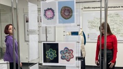 Выставка микрофотографий растений открылась в Белгородском госуниверситете