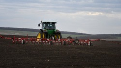 Белгородские аграрии засеяли более 90% посевных площадей зерновыми и зернобобовыми культурами