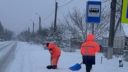 Вячеслав Гладков поручил муниципалитетам держать ситуацию по уборке снега под контролем