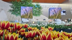Неделя министерства природопользования Белгородской области пройдёт на ВДНХ