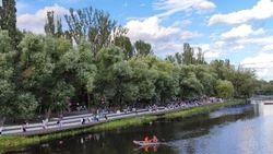 Как покинешь этот «райский уголок»? Наши читатели делятся, почему они не уезжают из Белгорода