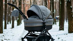 Белгородцы оформили свыше 5500 сертификатов на маткапитал в 2024 году