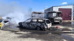 Дроны ВСУ уничтожили шесть транспортных средств в Грайворонском округе 