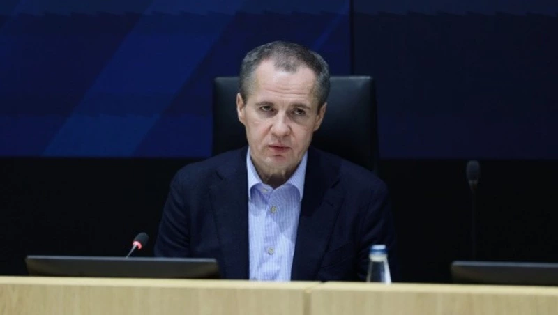 Гладков поблагодарил главу Мордовии за помощь с кабелем для генерации