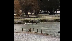Дети вышли на тонкий лёд на реке Везёлке в Белгороде