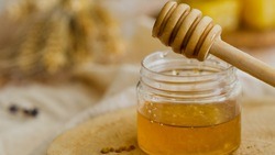 Президент РФ подписал направленный на борьбу с фальсификацией мёда закон