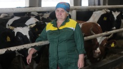 Как модернизация подарила вторую жизнь молочной ферме в селе Мощёном