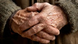 Белгородские ветераны ВОВ получат выплату в честь 80-летия Победы 