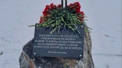 Власти обсудили строительство мемориального комплекса в память о жертвах фашизма в Белгороде