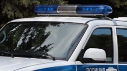 12-летняя девочка оставила нецензурные надписи в военно-патриотическом сквере Шебекино 
