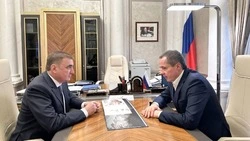 Вячеслав Гладков обсудил с Алексеем Дюминым оперативную обстановку в Белгородской области