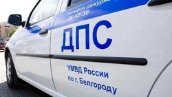 В Белгородской области за сутки оштрафовали 51 пешехода