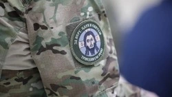 Около 900 белгородцев оформили справку об участии в СВО с начала года