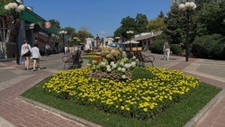 Белгородцы высадят свыше 50 тысяч цветов и трав в рамках фестиваля «Белгород в цвету»