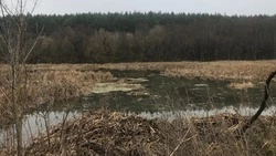 А осадочек остался. Наши читатели в селе Казацком недовольны результатом очистки водного объекта