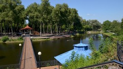 236 белгородцев зарегистрировались для помощи в голосовании за проекты благоустройства