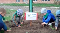 Яковлевские дети стали участниками проекта «Эколята-дошколята» в селе Завидовке