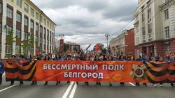 Гладков сообщил о проведении «Бессмертного полка» в онлайн-формате