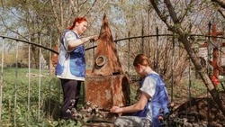Более 2500 белгородских волонтёров поучаствовали в акции «Субботник Памяти»