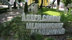 Новые имена появились на Аллее Славы медработников в Белгороде 