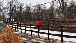 Два открытых катка снова закрыли в Белгороде из-за потепления 