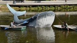 Рабочие установили большого кита на Везёлке в белгородском парке Победы 