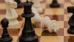 Чемпион мира по шахматам Анатолий Карпов приедет в Белгород на открытый турнир по шахматам 