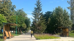Детскую площадку обновят в белгородском парке имени Ленина осенью