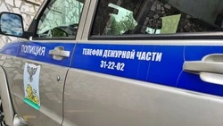 49 жителей Белгородской области стали жертвами мошенников за неделю 