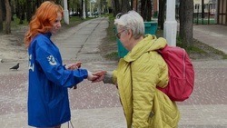Более 800 добровольческих объединений образовались на территории Белгородской области