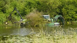 Вместо соседских красот. Шепелёвский пруд очистили в рамках губернаторской программы «Наши реки»