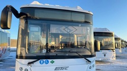 Белгородский минтранс опубликовал расписание бесплатных автобусов на Пасху