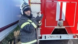 В Прохоровке спасатели разобрали дымоход, чтобы вытащить котёнка с крыши магазина 