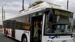 Вячеслав Гладков сообщил о запуске бесплатных автобусов на Пасху 